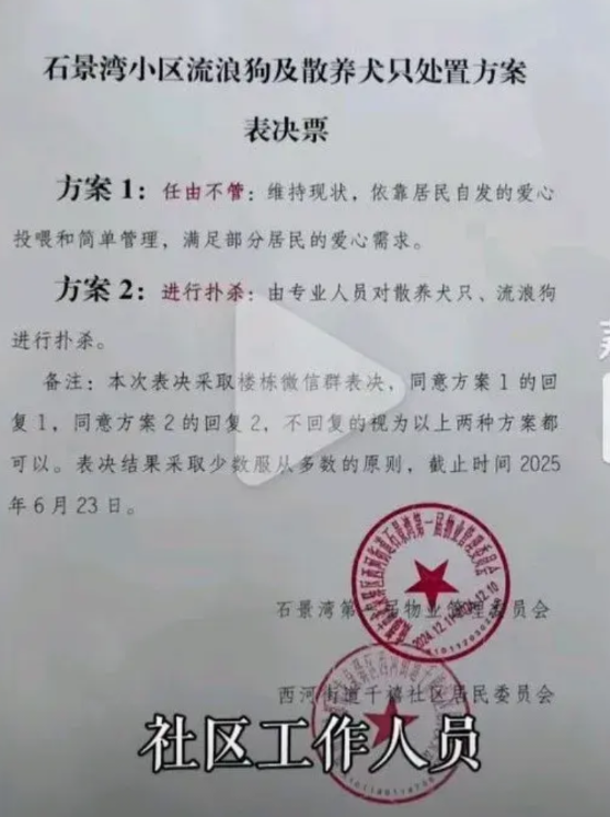 “心酸”！成都某小区，业主投票对小区内流浪狗的处理方法，1、任由不管，依靠居民的