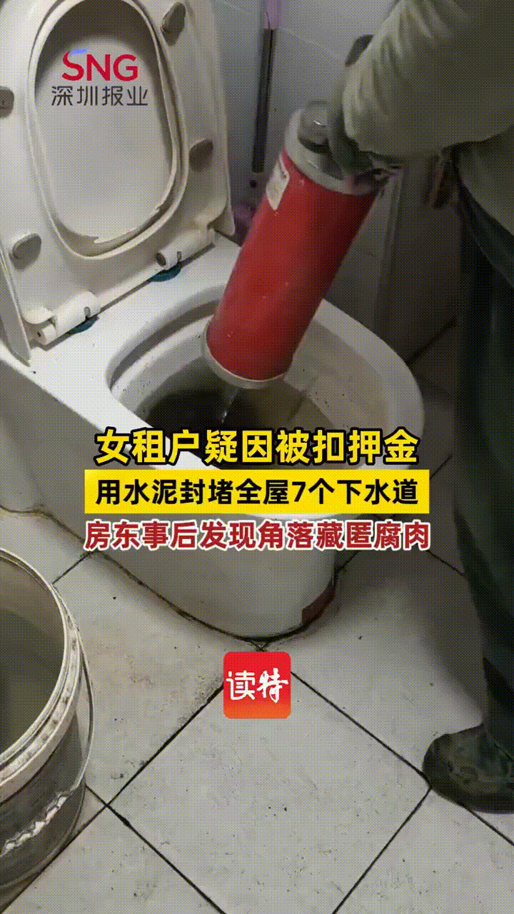 女子把房租给了一个女孩，一年后到期女孩要退租，女子就委托中介去看房，但是发现卫生