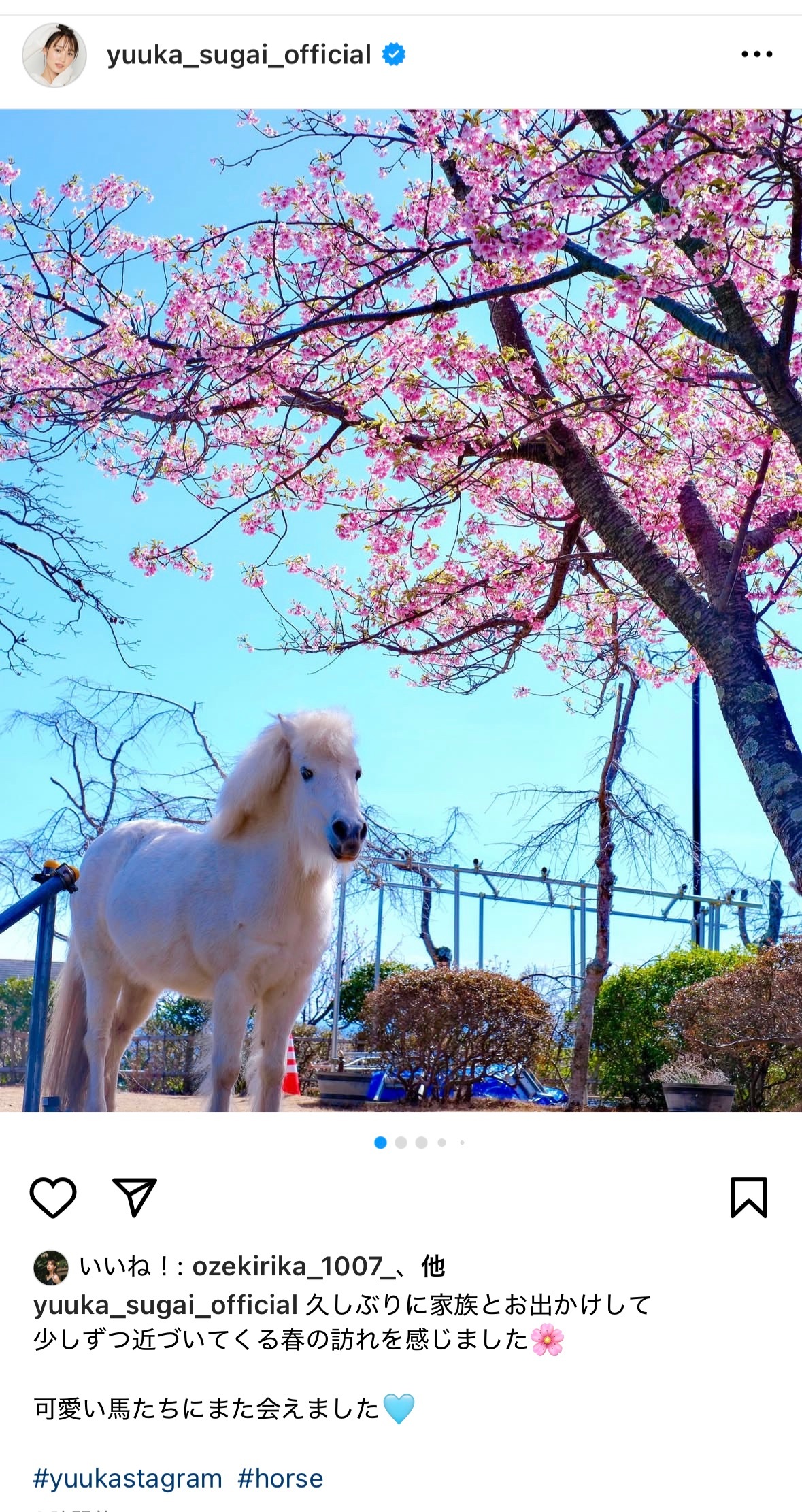 菅井友香🐴　yuukastagram​​​