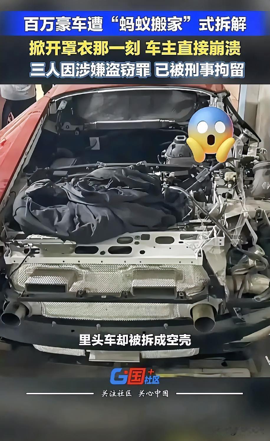 上海嘉定的姚女士出国仨月，回来掀开车衣的那一刻，腿直接软了。她那辆停在小区地库的