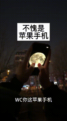 外国人理解不了的浪漫，你说拍月亮就拍月亮吧，你放个视频算是什么事？[捂脸哭]