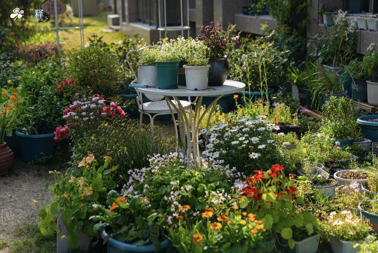 人生的退路可能是鹤岗我也风光过，早年产品经理，月薪最高15k。做自媒体后高光时