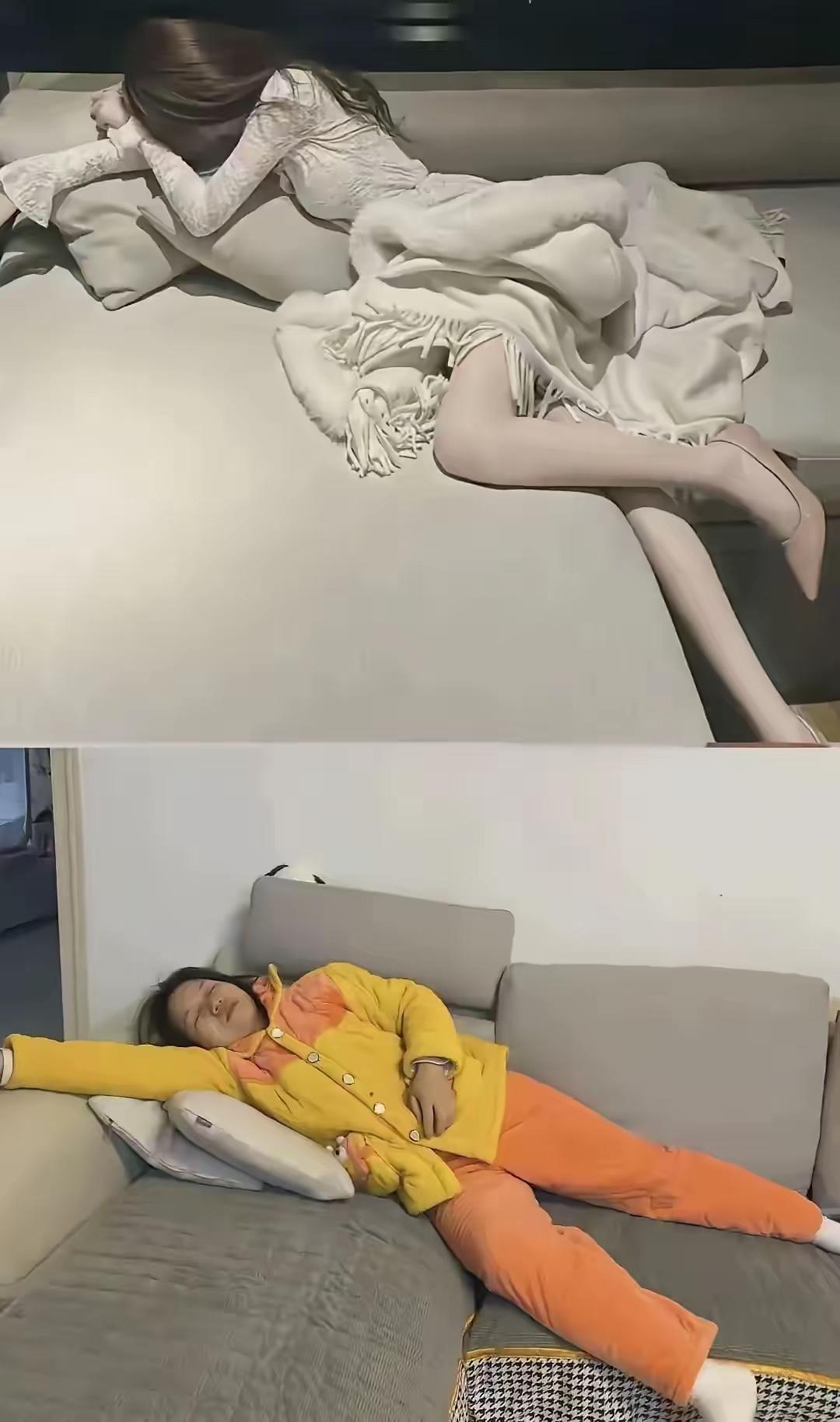上图你养，下图养你
