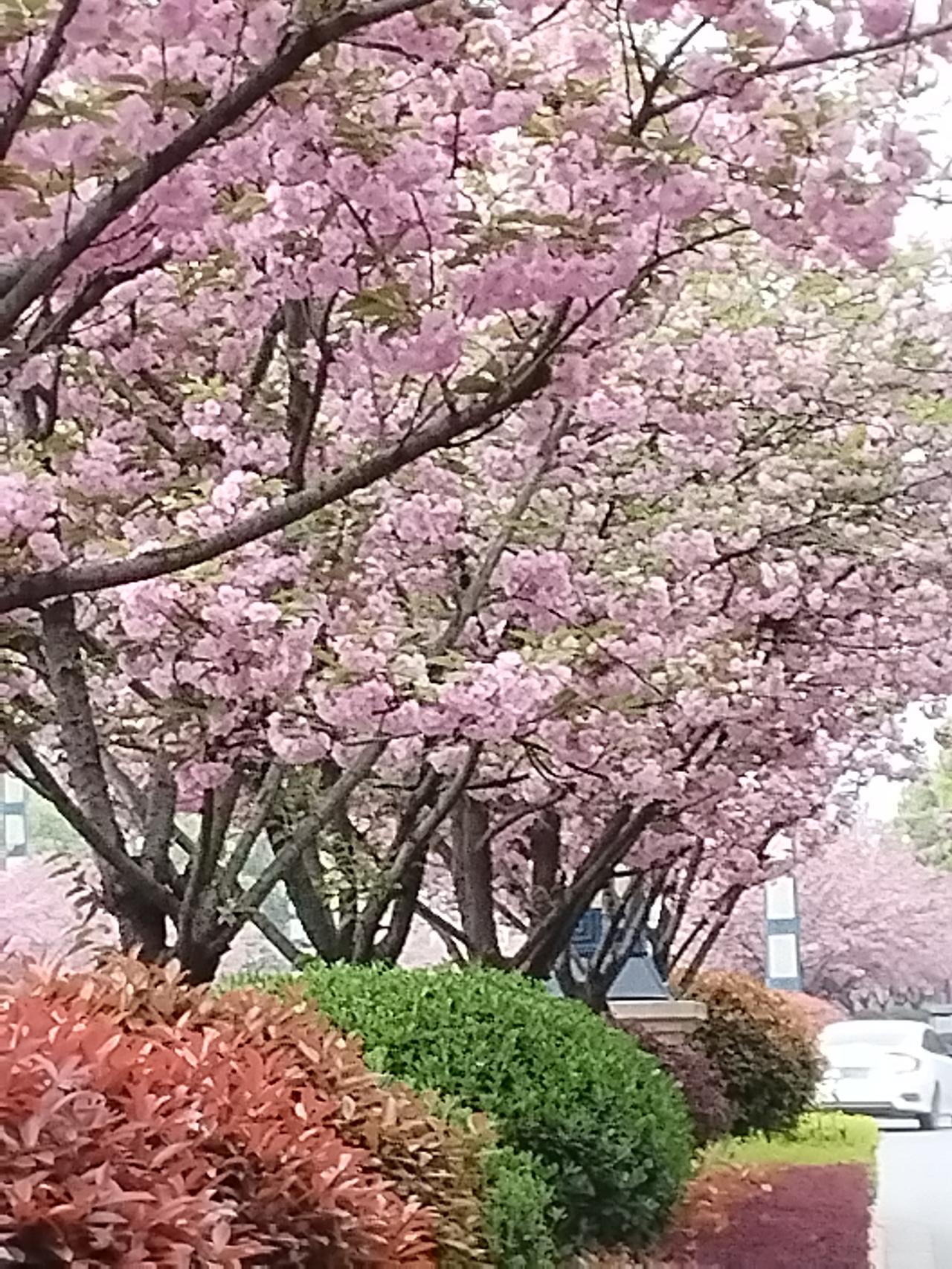 法律今怎么判：司法公正的时代考问随着社会的发展和法治观念的深入人心，“法律今怎