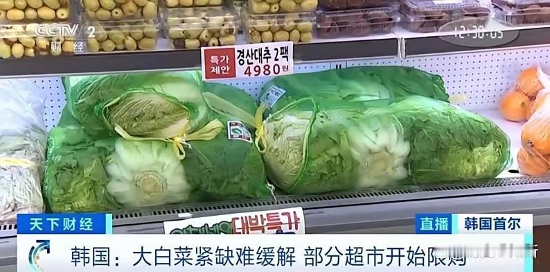 韩国不愧为泡菜国，竟然用宣布停止进口中国大白菜作为反制中国的经济手段，我们还根本