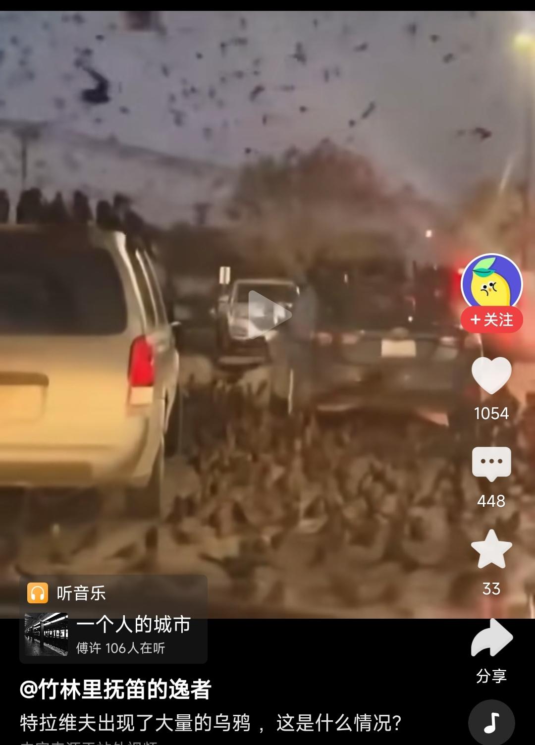 特拉维夫聚集大量乌鸦，铺天盖地，甚是恐怖……这说明以官方隐瞒了死亡人数、使大