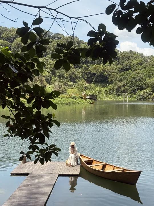 🌿不是国外！海南藏着亚马逊同款雨林秘境
