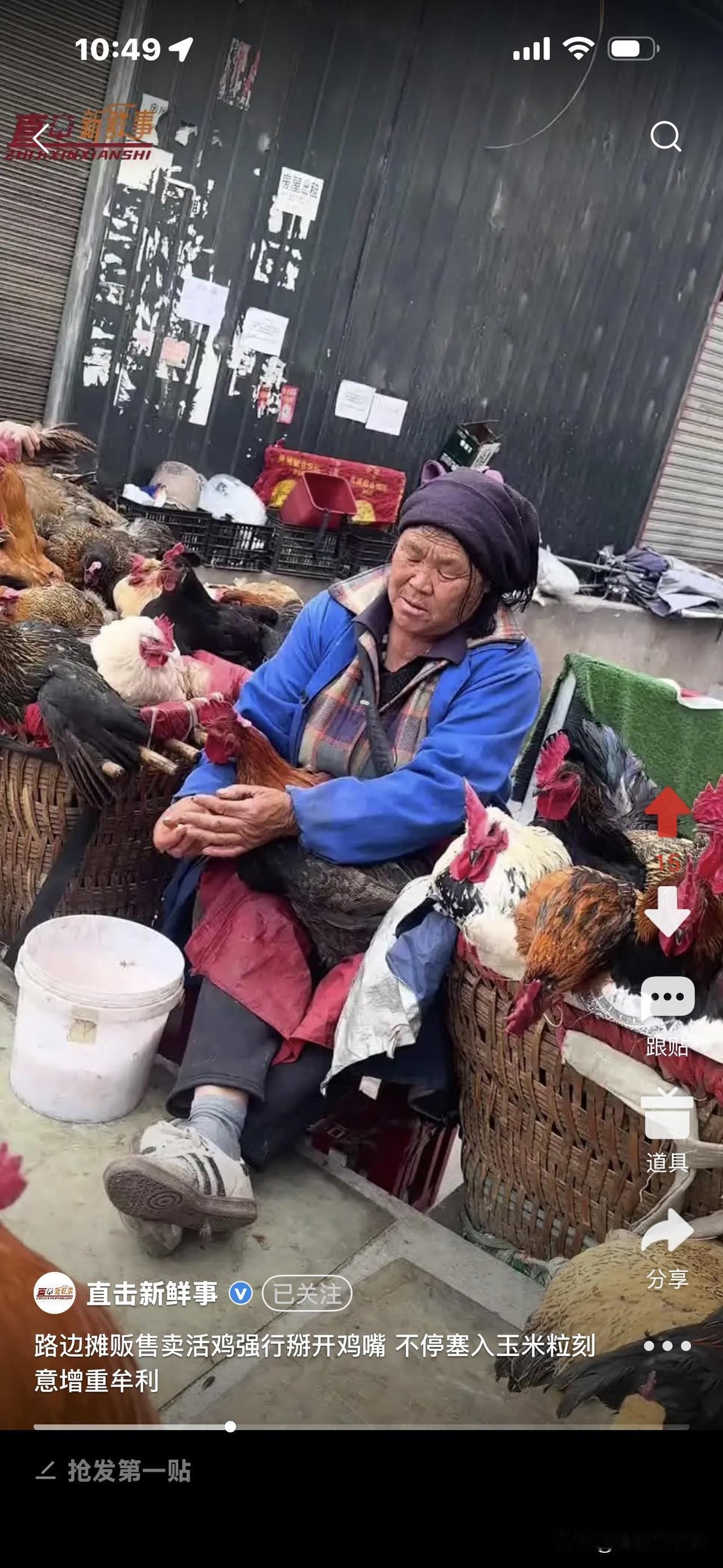 大妈市场卖活鸡不易啊！为了增重，不停往鸡嘴里塞玉米粒，这又能增重几两呢？
