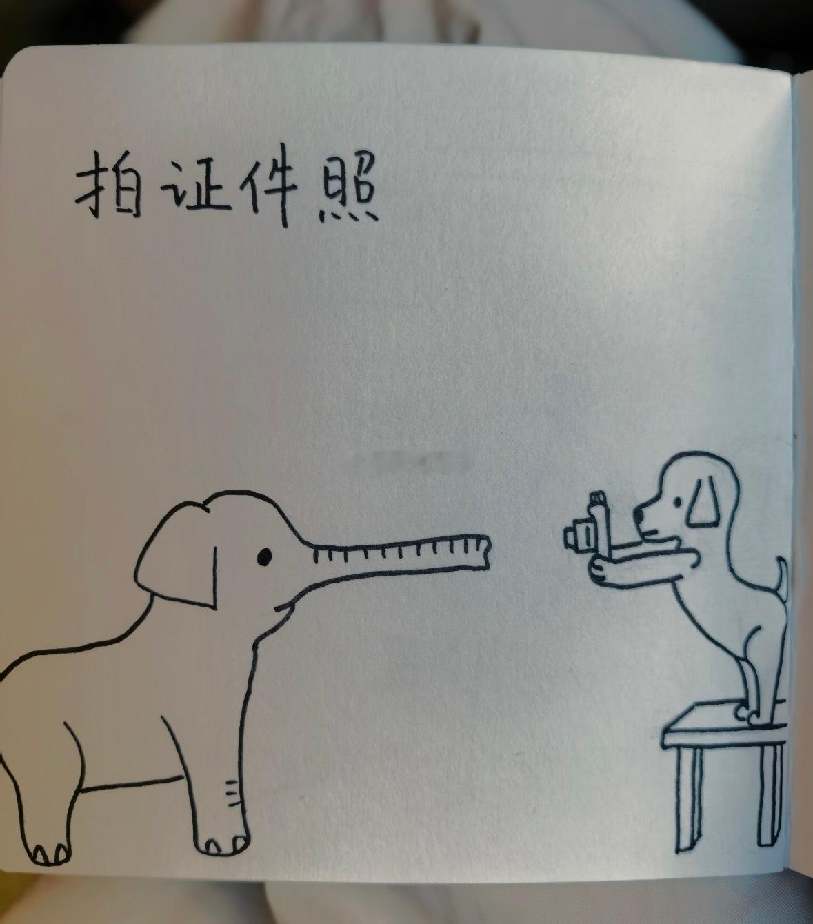 大象的证件照以为是搞笑，没想到还是写实派​​​
