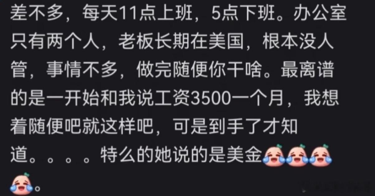 大家不知道的是，上海还有这种神仙公司。。。