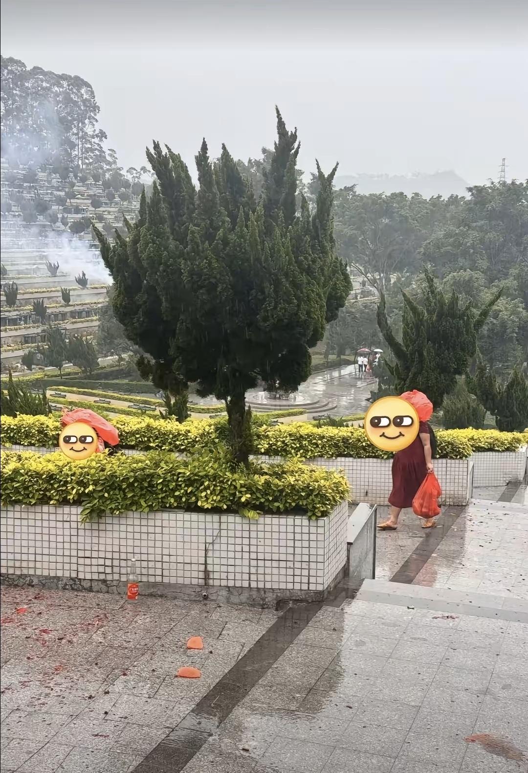 清明扫墓摆的烤鸭苹果，刚走就没了。浙江嘉兴、大连、大庆那边，好几处墓园都这样。