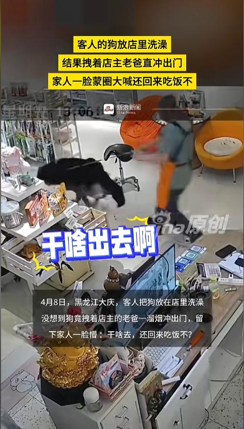 “笑不活了！”4月8日，黑龙江大庆，某店铺内，一条狗突然冲了出来，后面还跟着个男