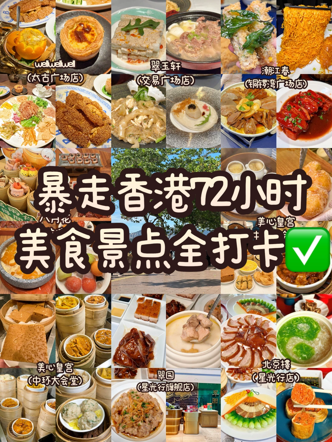 暴走香港72小时！打卡7家美食3大景点