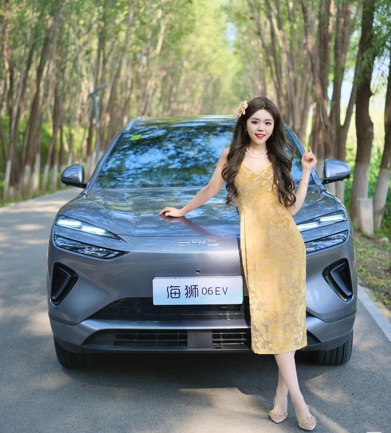 比亚迪海狮06EV8月销量16897辆，比亚迪海狮06EV9月销量2095