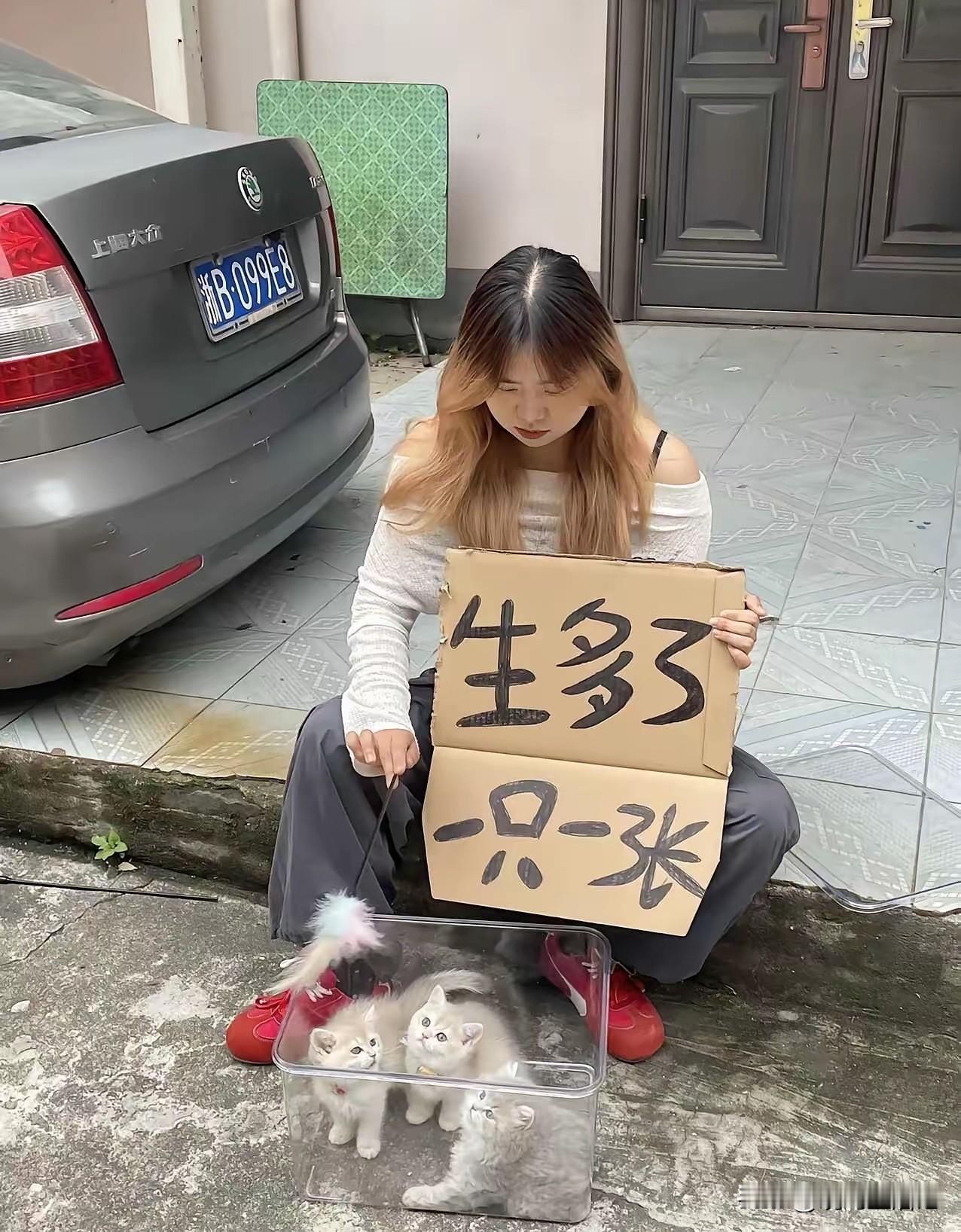 猫咪100元，你觉得贵吗？