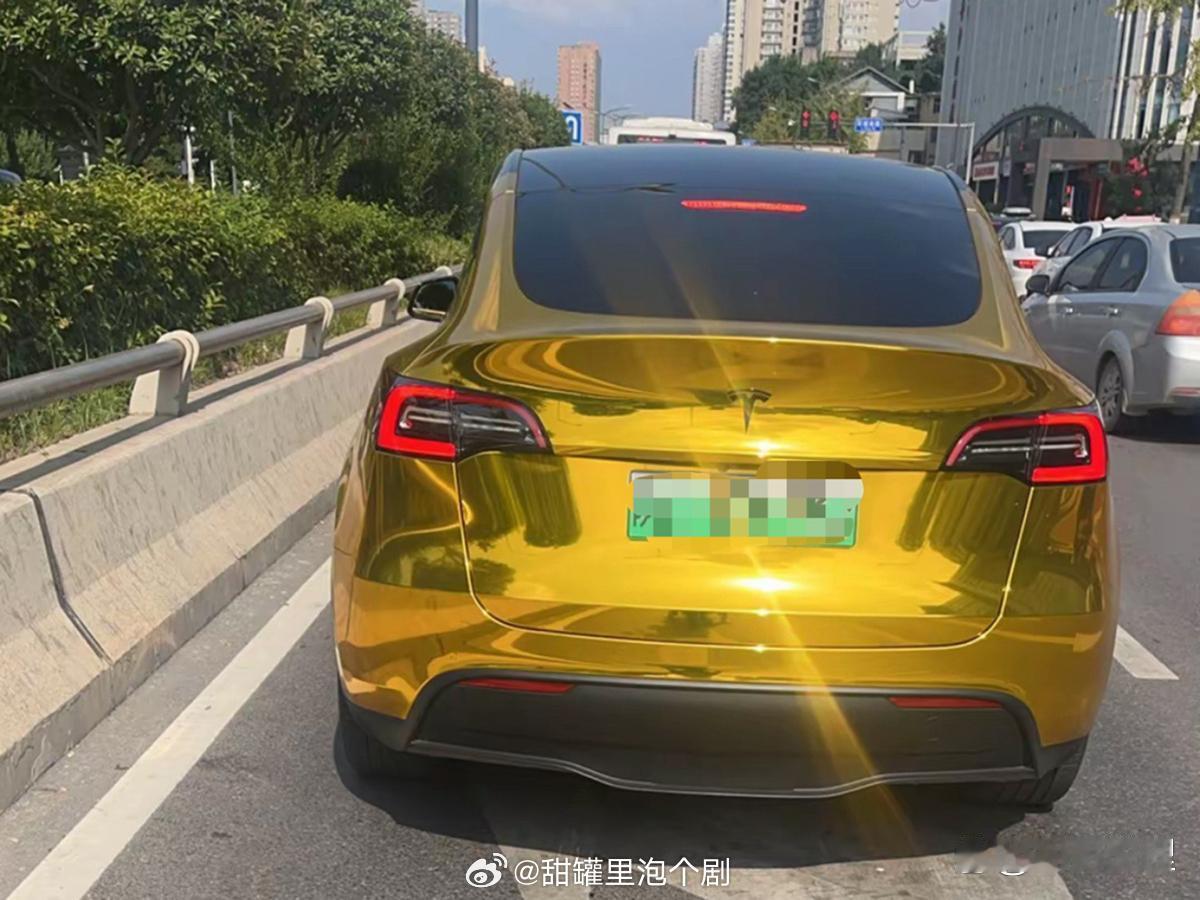 有卧龙那必有凤雏！一个金光闪闪，一个银光闪闪，特斯拉车主真是人才​​​