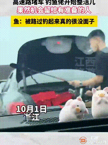 浙江一名男子开车回家时，遇到了高速堵车，眼看车子无法移动，而高速下方刚好有一条河