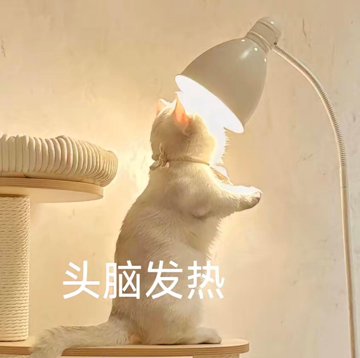 1.深情的人面对分离,往往不会轻易放手。即便耗尽了力气,也不愿转身离开。所以不