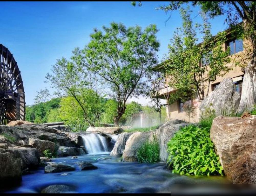 识人的最高境界​真正厉害的人，其实根本不需要和你多聊，他只需要对视一下你的眼