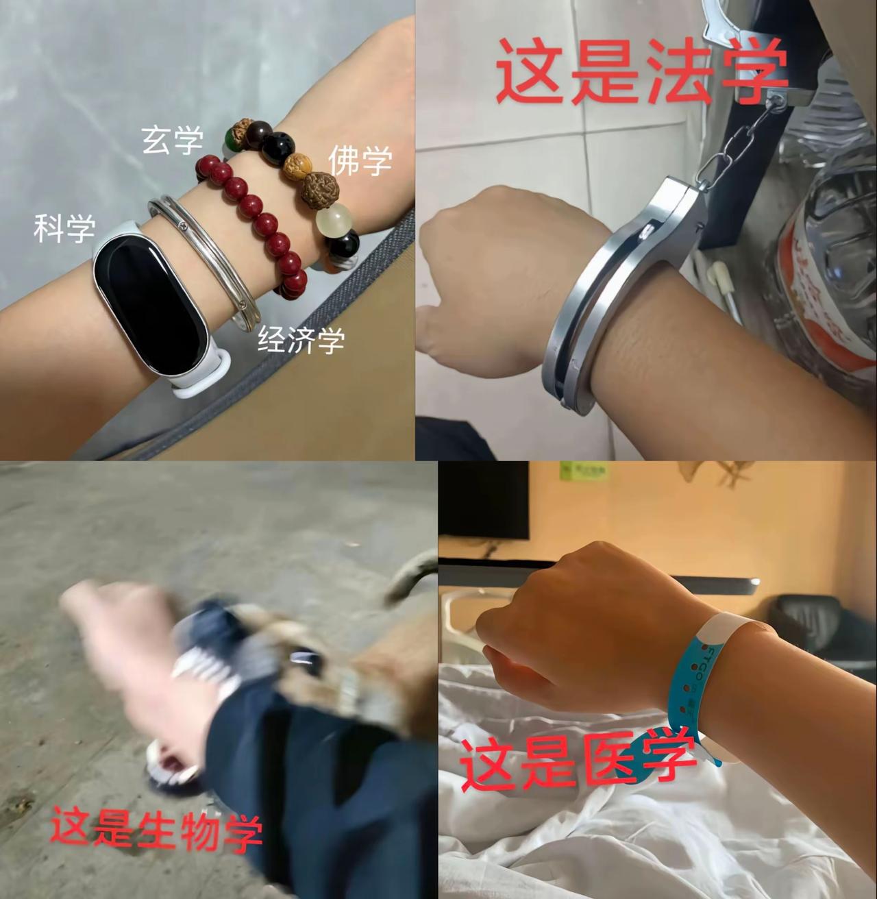 各种学科一张图...
