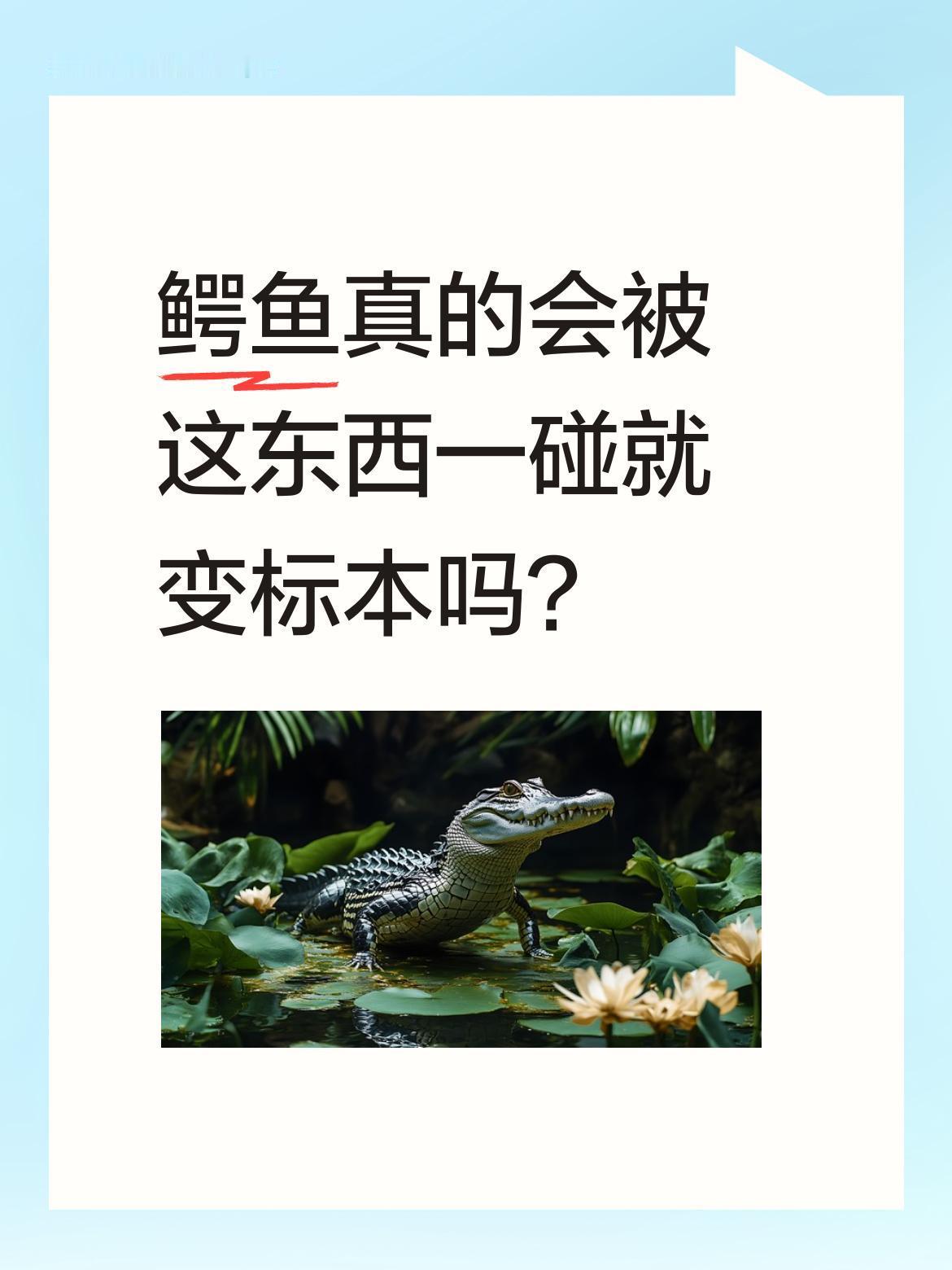 鳄鱼真的会被这东西一碰就变标本吗？最近有视频提到"几百斤的成年鳄鱼只要被这玩意