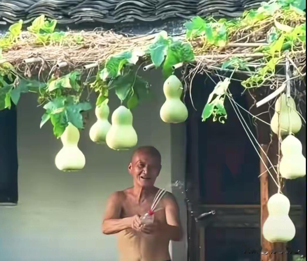 7个葫芦仓促落幕！一场意外走红，撕开流量最现实的一面绍兴书圣故里的七个葫芦