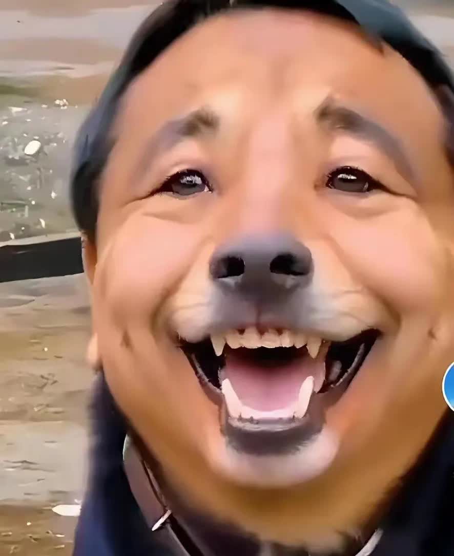 “滚回中国去！”原以为自己已经落户他国，诋毁、攻击自己的祖国作就能讨好主人，没有