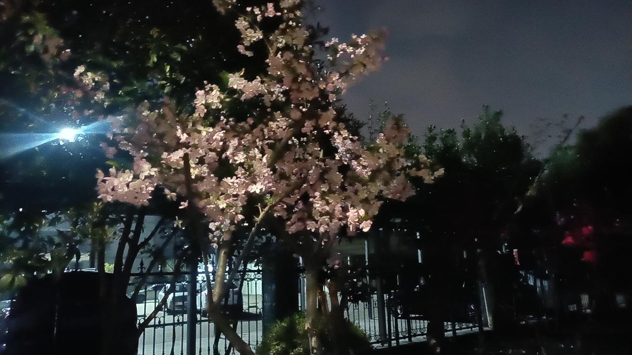 从健康角度来看，不吃早餐和不吃晚餐都会对身体造成伤害，但综合来看，长期不吃早餐的