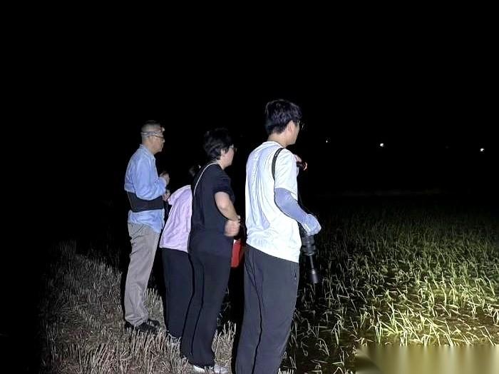 有一种小青蛙，叫无斑雨蛙。官方名录上写着“无危”，但在江浙沪一带，它已经快绝迹了