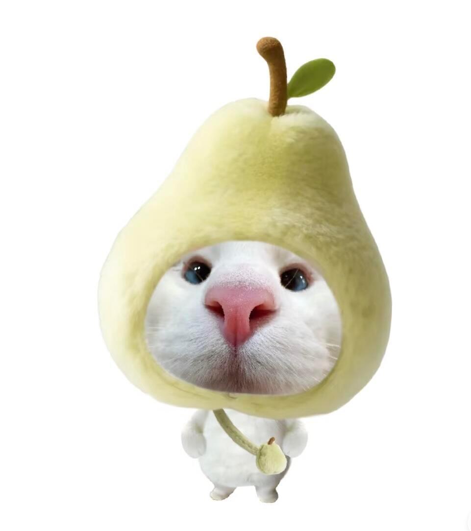 水果猫咪头像​​​