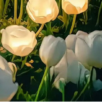 每日一善你在我面前永远都闪闪发光，就像整个宇宙的星光都洒在你身上