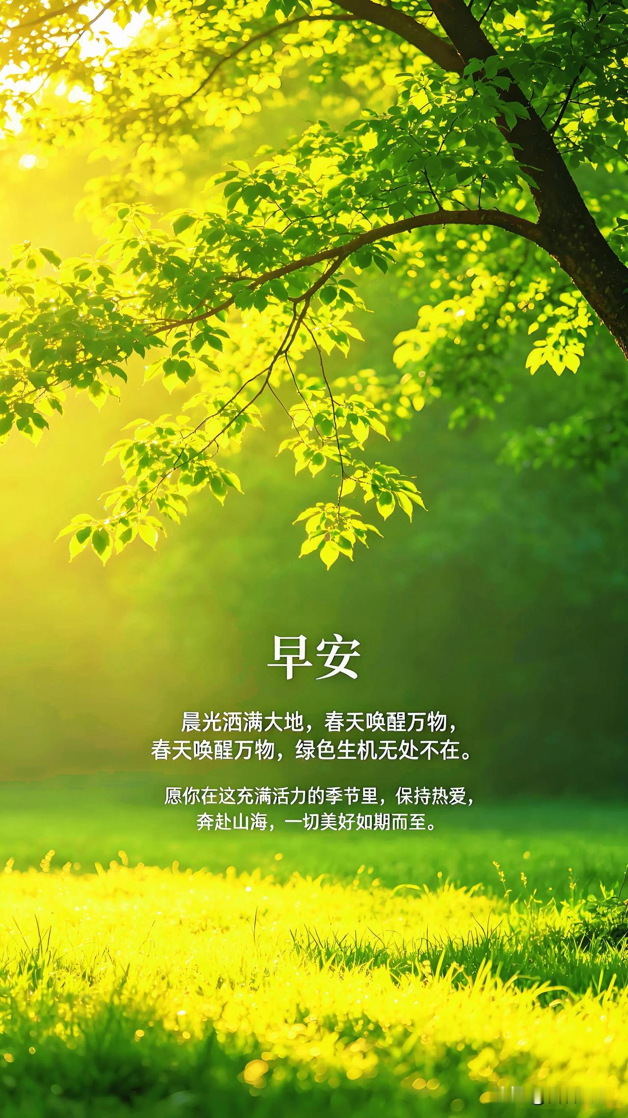 愿清晨的微风，吹走所有烦恼，早安。