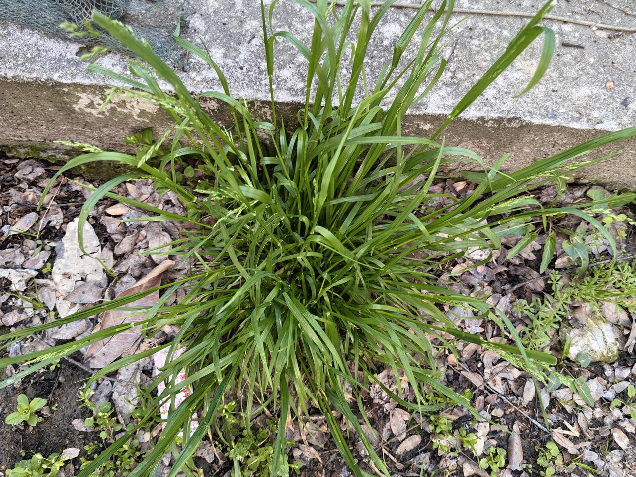 有网友在我评论区讲了一个故事，我分享一下。网友的朋友是个商人，挣了不少钱，家