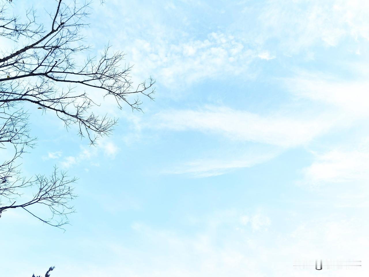 我自己觉得我是个好人，可是我却得过两次癌症。首先我对待双方的老人是孝顺的，