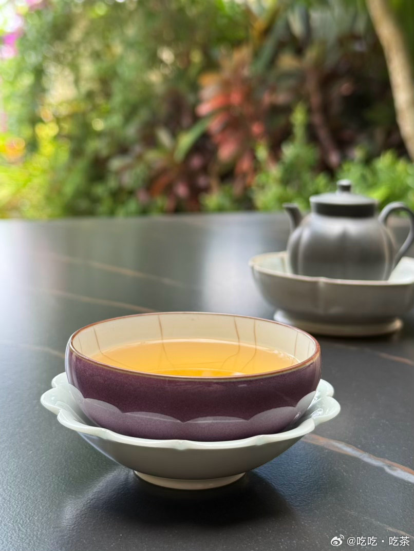 20年陈期攸乐古树南方干仓，果香和木质香，茶汤纯净甘甜，非常甜，茶气温暖…200