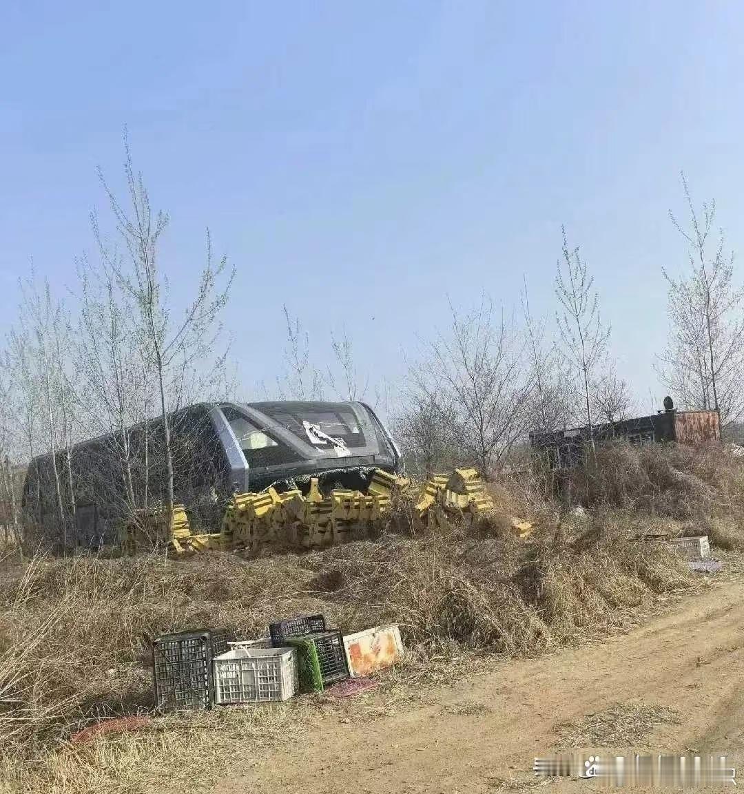 这货当年叫啥来着？？？？。​​​