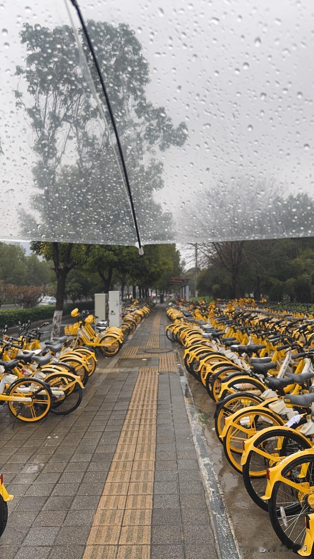 27岁。一个人在南京。没有工作。没有家。今天，又是雨天……南京又下雨了。一个