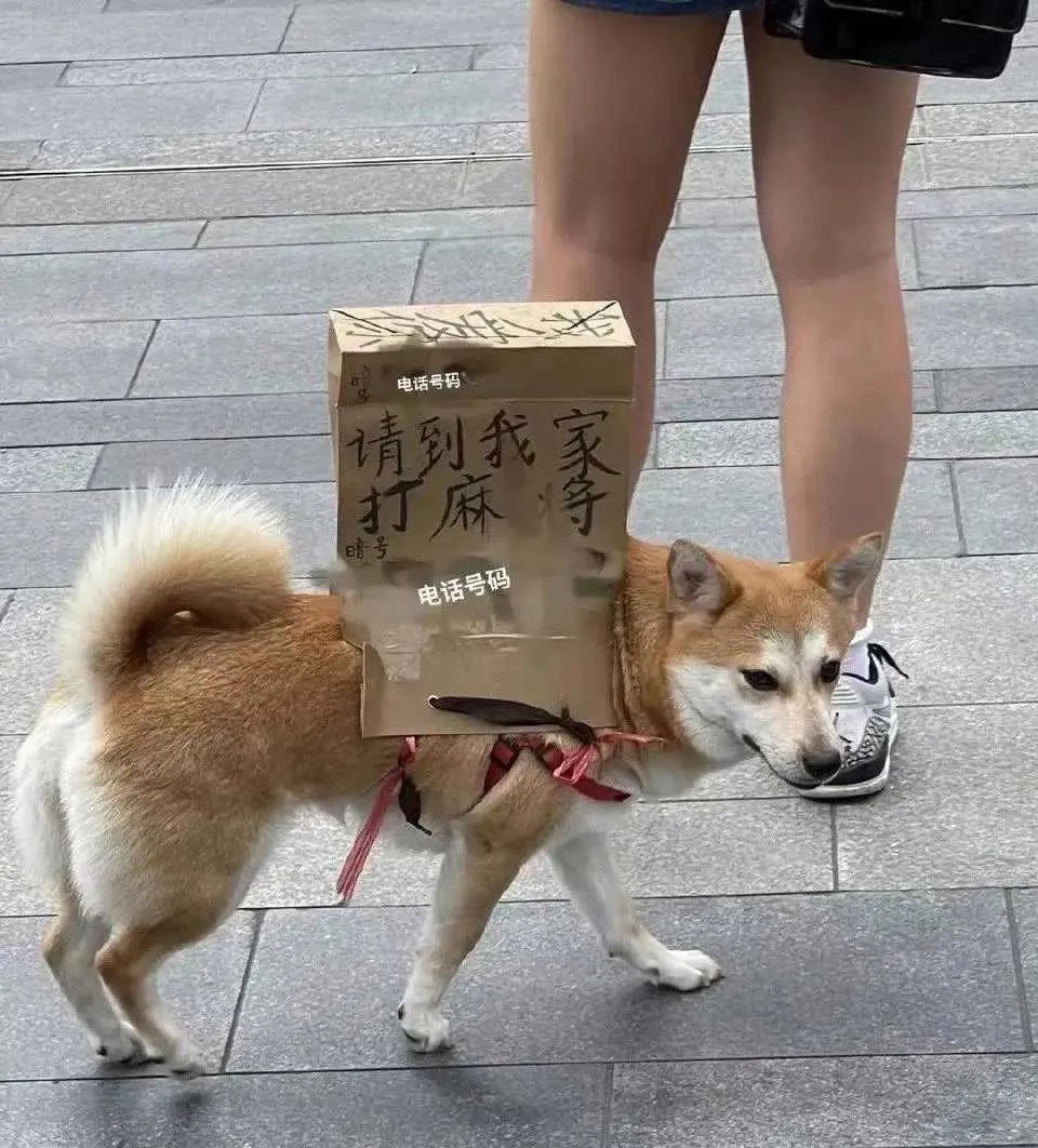 人比狗还狗