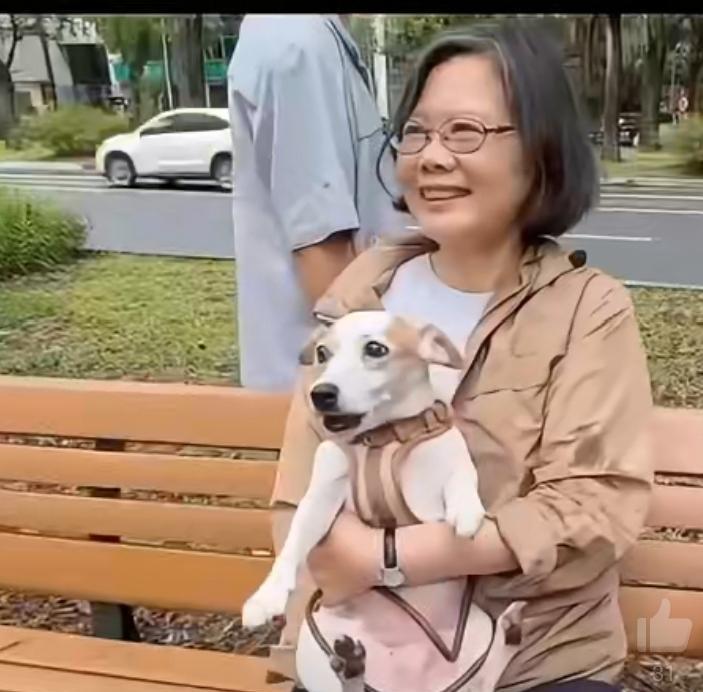 这就是“台独”的嘴脸!昨天是台湾省光复80周年纪念日,民进党却搞了一个同性大游行