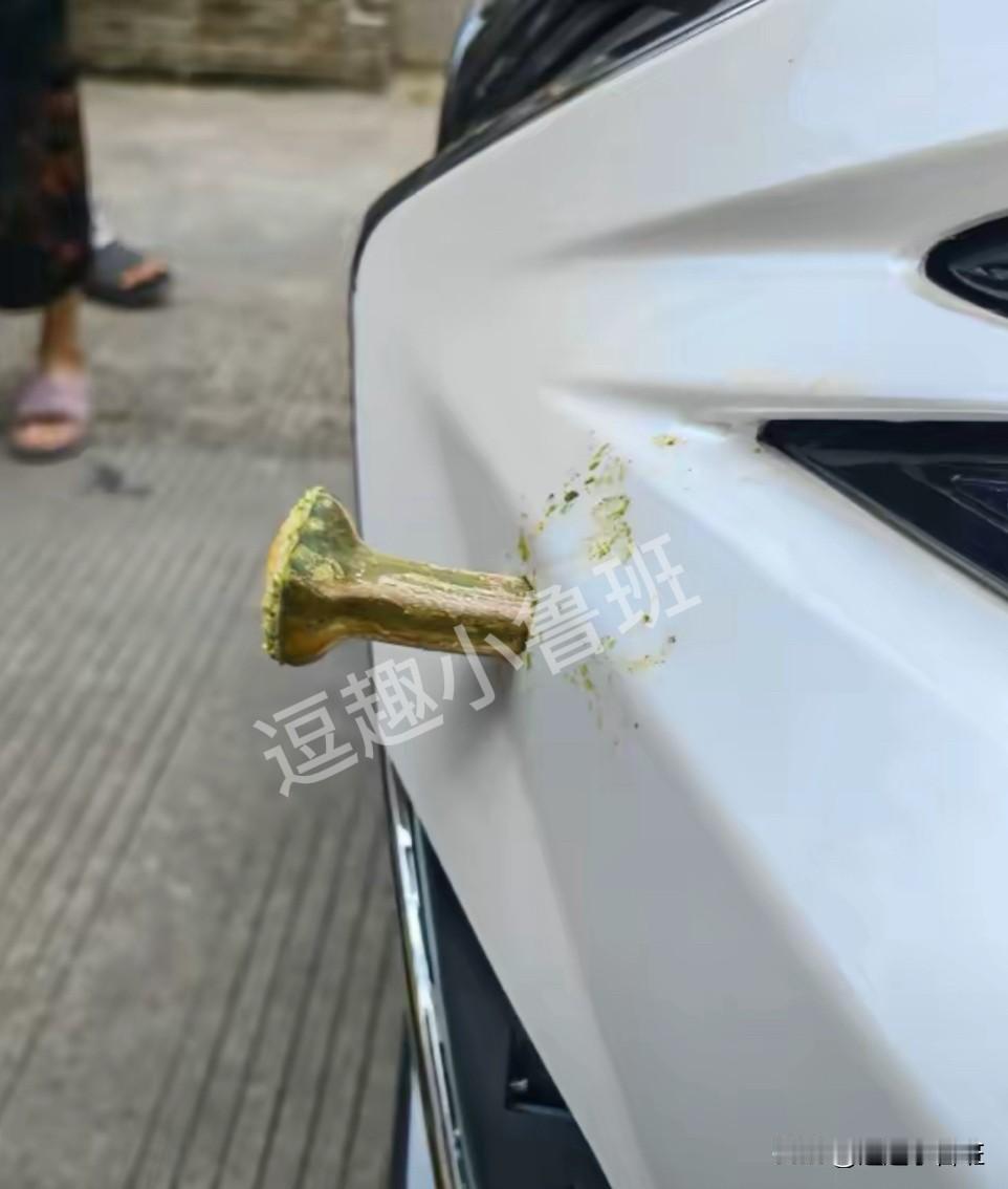 小区里刚发生的事故，大家猜猜插在这辆车上的这东西到底是啥？