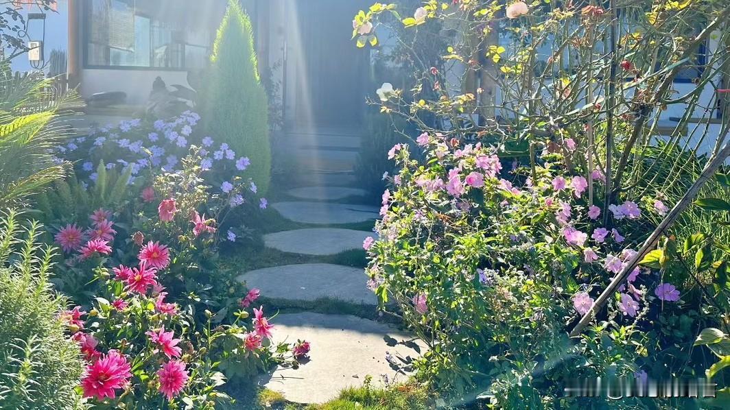 越是大龄剩女，越不能恨嫁。一女子，38岁未婚，经人介绍相亲，认识了一个34岁的男