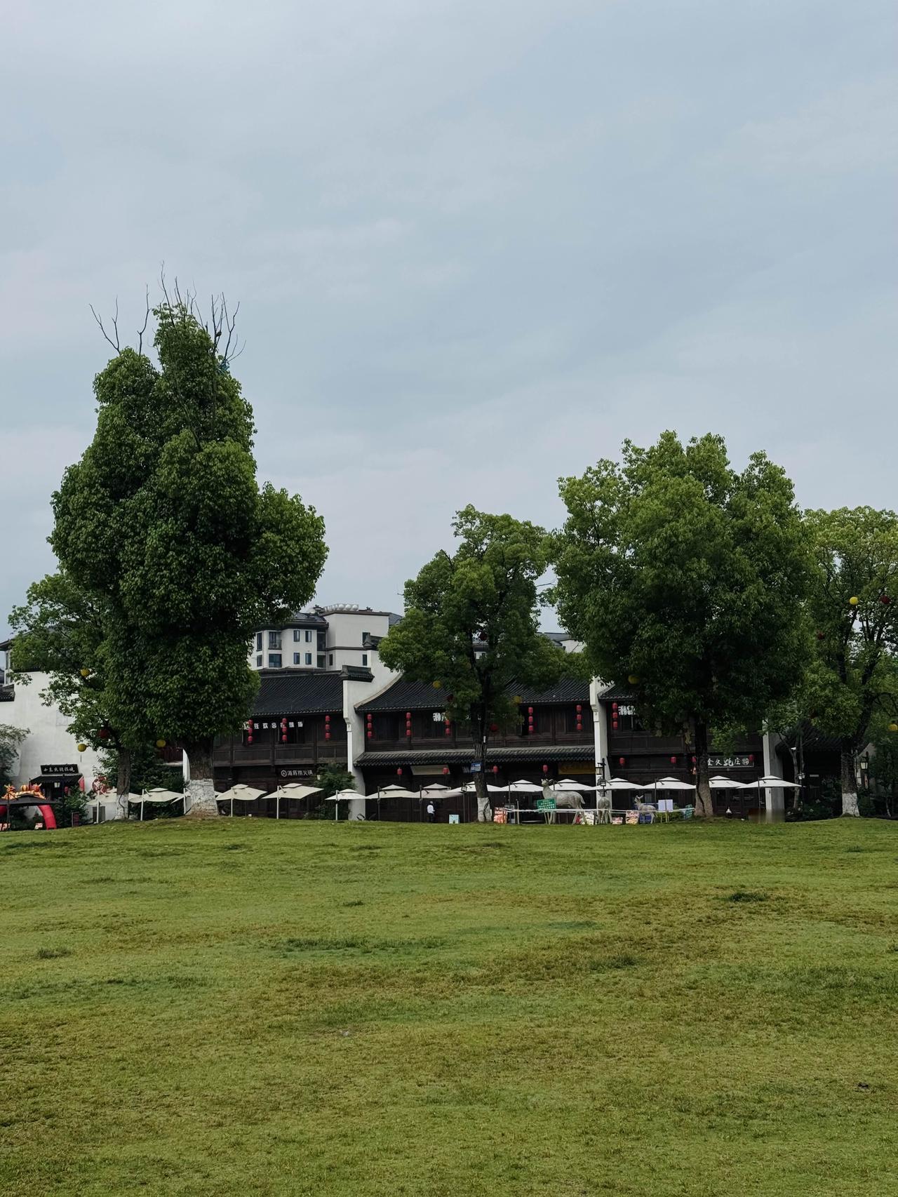 你能分享你家附近公园的照片吗家门口的老街草坪公园，也是我每天晨跑的绿道～