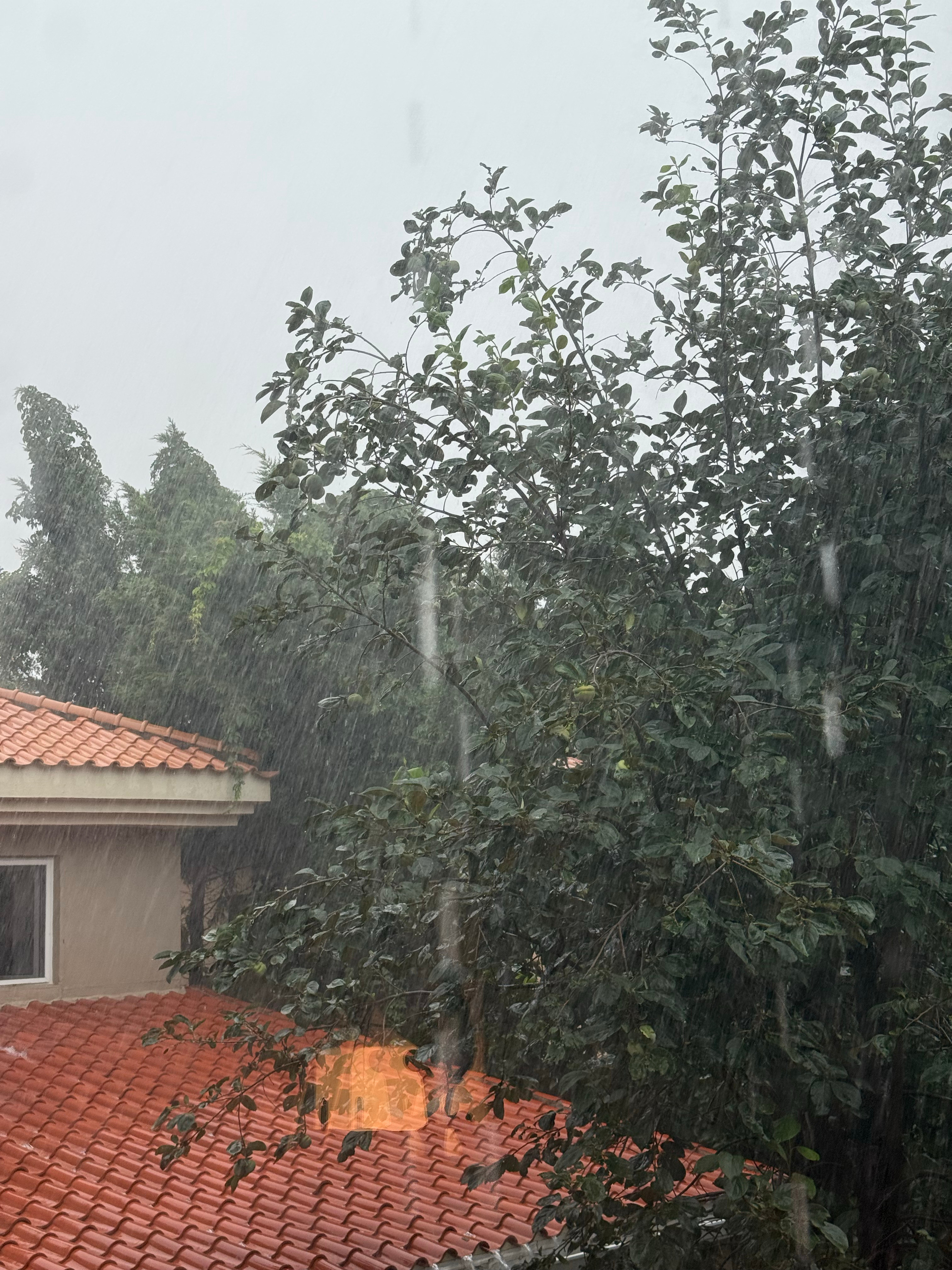 北京暴雨昨天顺义村里的暴雨，听说今天还有？​​​