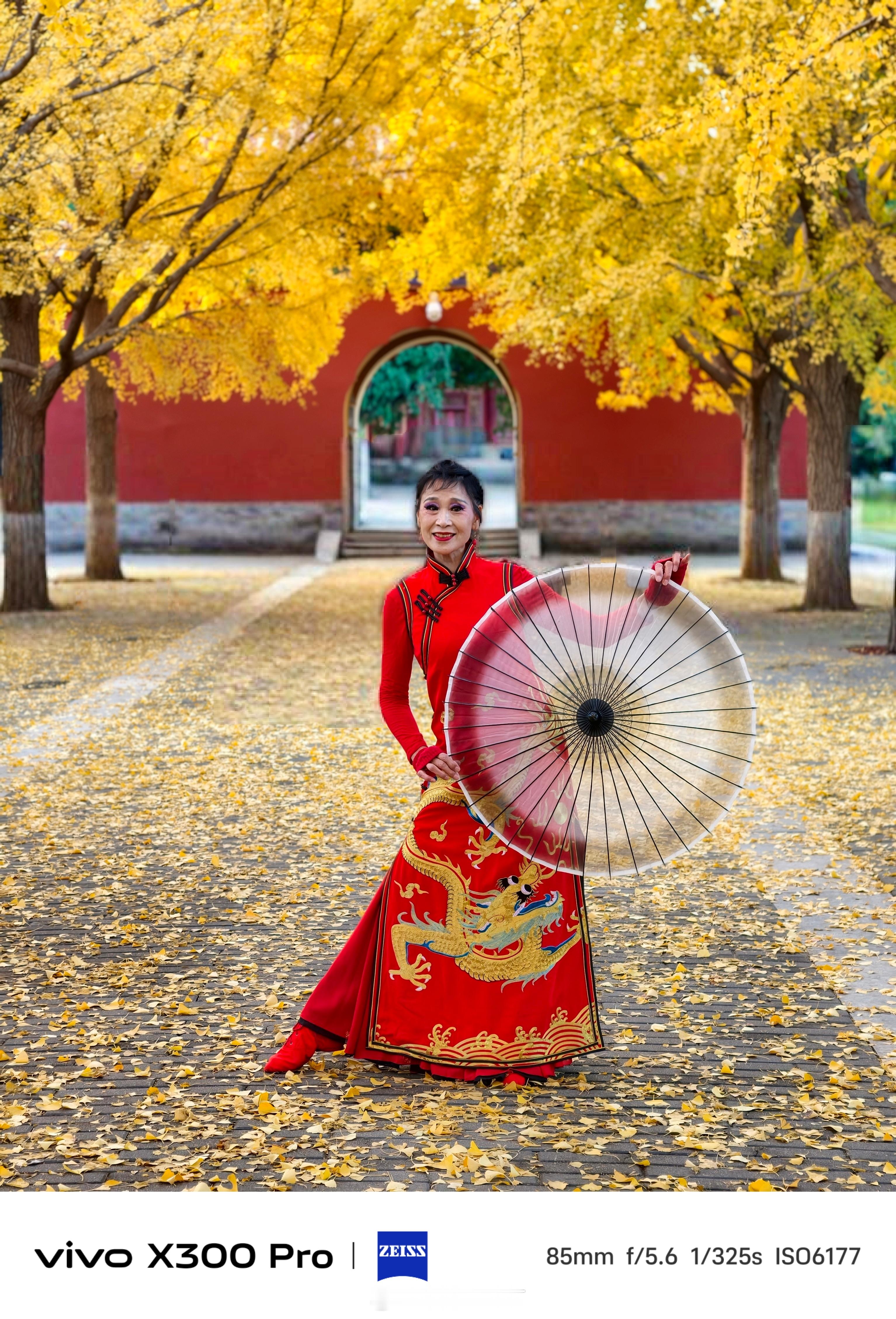 《中山公园最后的一抹秋色》中山公园的银杏，是北京秋天的热门打卡地。伴随着初冬的到