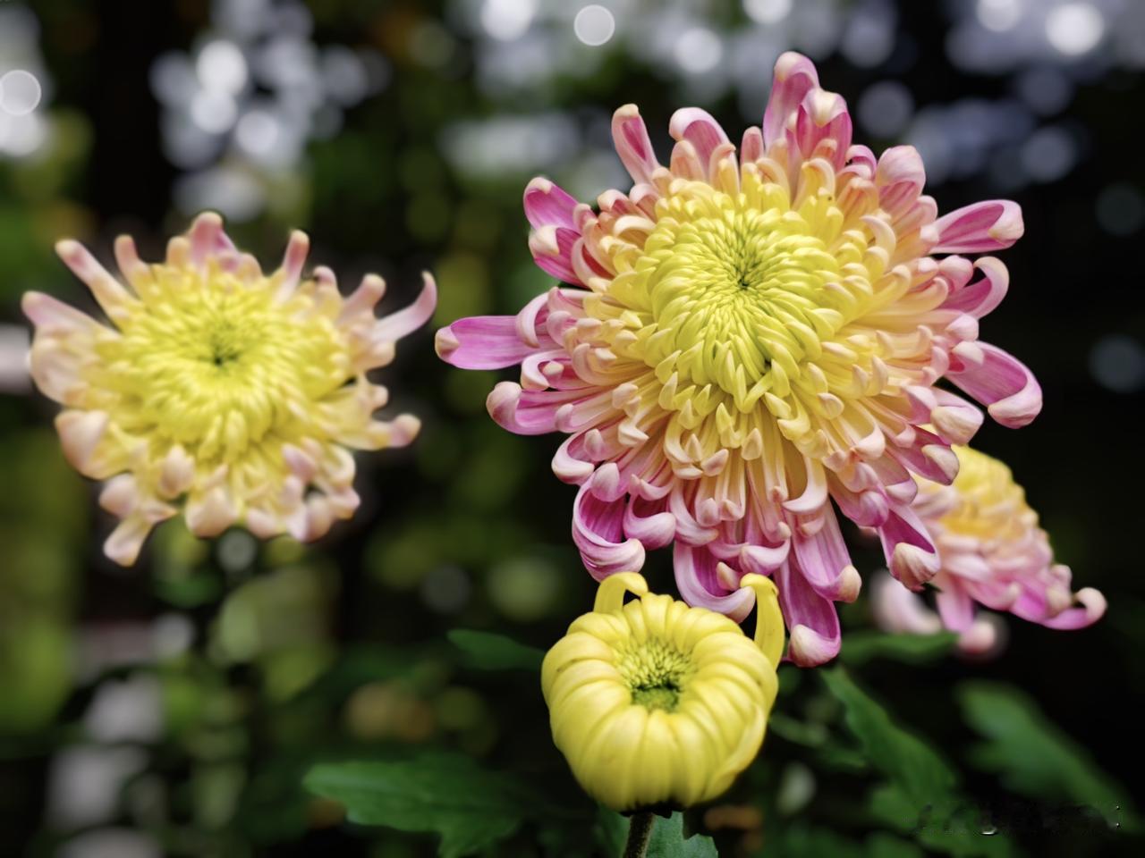 女子去一家公司面试，人事经理看了一眼简历就说不合适，公司要求的是有3年以上工作经