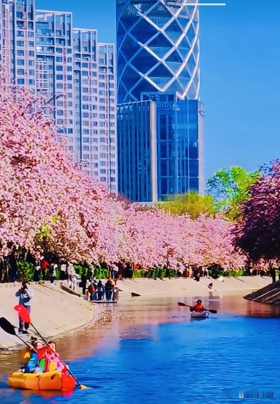 原创诗词每日一诗京城花海＿＿＿郭赋林（釜麟）东风送暖京城花，千树繁花