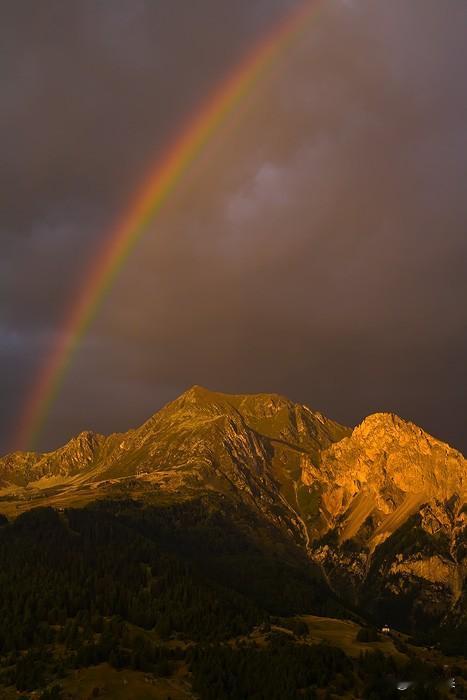 突然发现，我媳妇是个狠脸色我媳妇支付宝逾期了，天天打电话威胁恐吓，一气之下投