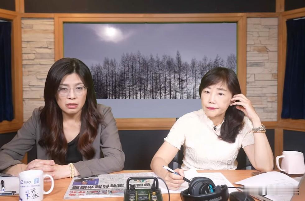 郑丽文为什么请尹乃菁掌管国民党文传会虽然尹乃菁名义上只担任国民党文传会副主委