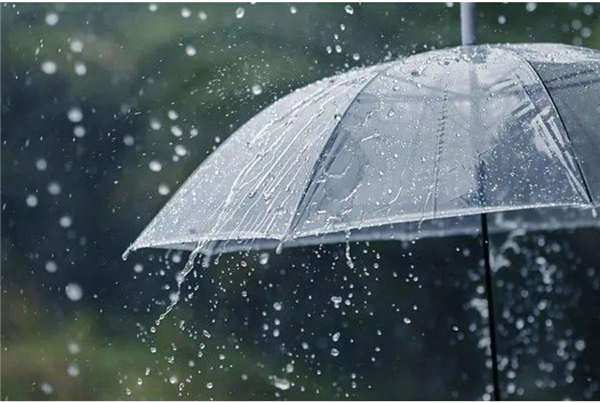 [新闻早茶]大到暴雨, 局地大暴雨, 河北大范围降雨又来, 还有这些热点……