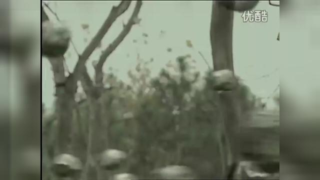 聊斋2_胭脂.02B[粤语\/韩雪 严宽]_土豆视频